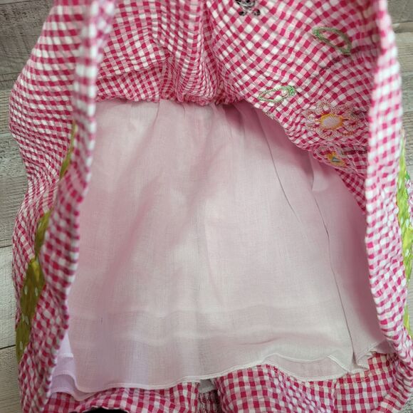 Toddler Dress 2T Seersucker Baby Togs Ladybug Flowers Pink Gingham Embroidered - Picture 8 of 8